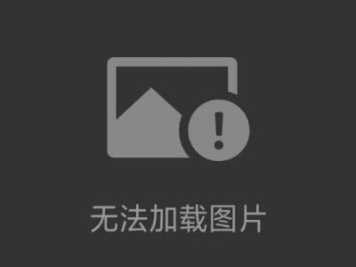 德國亨士樂Hengstler計數器