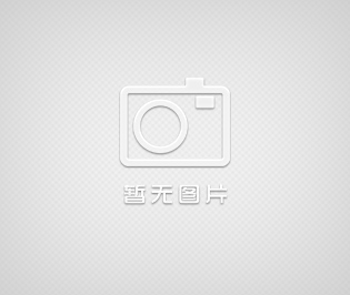 柱塞泵-波克蘭MS08-2-111-F09-2A50-1E00